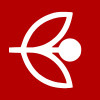 Bem Vindo ao Portal Etreal Group
